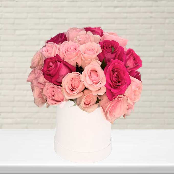 Box de Rosas Rosa