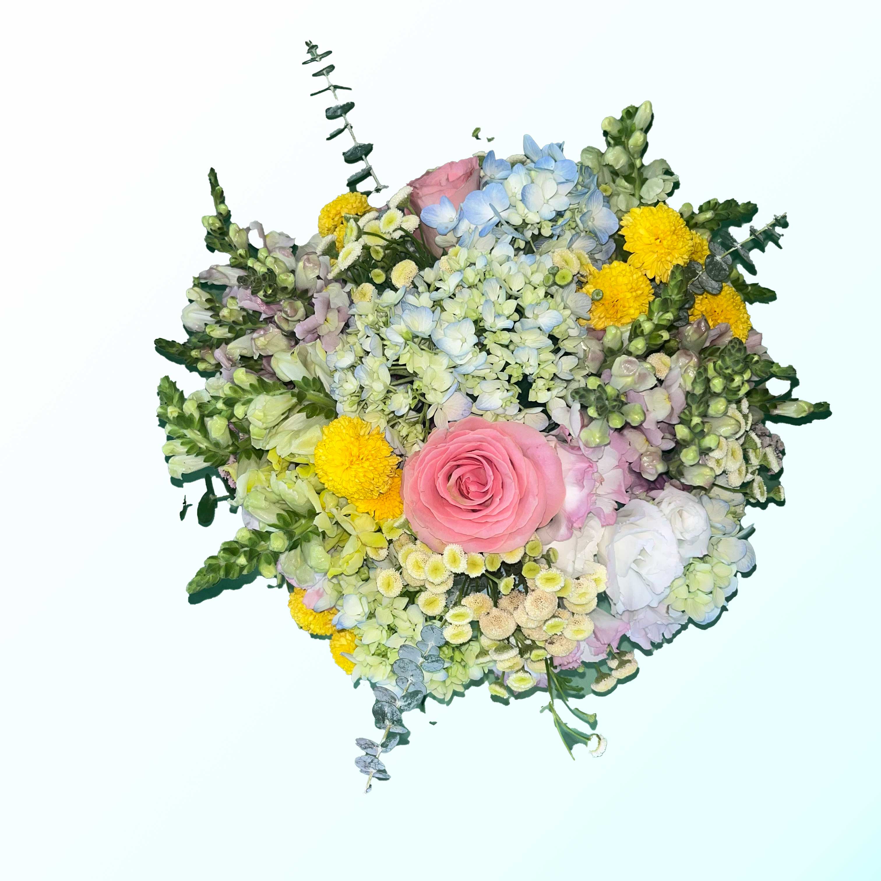 Luz de primavera - Netyflor