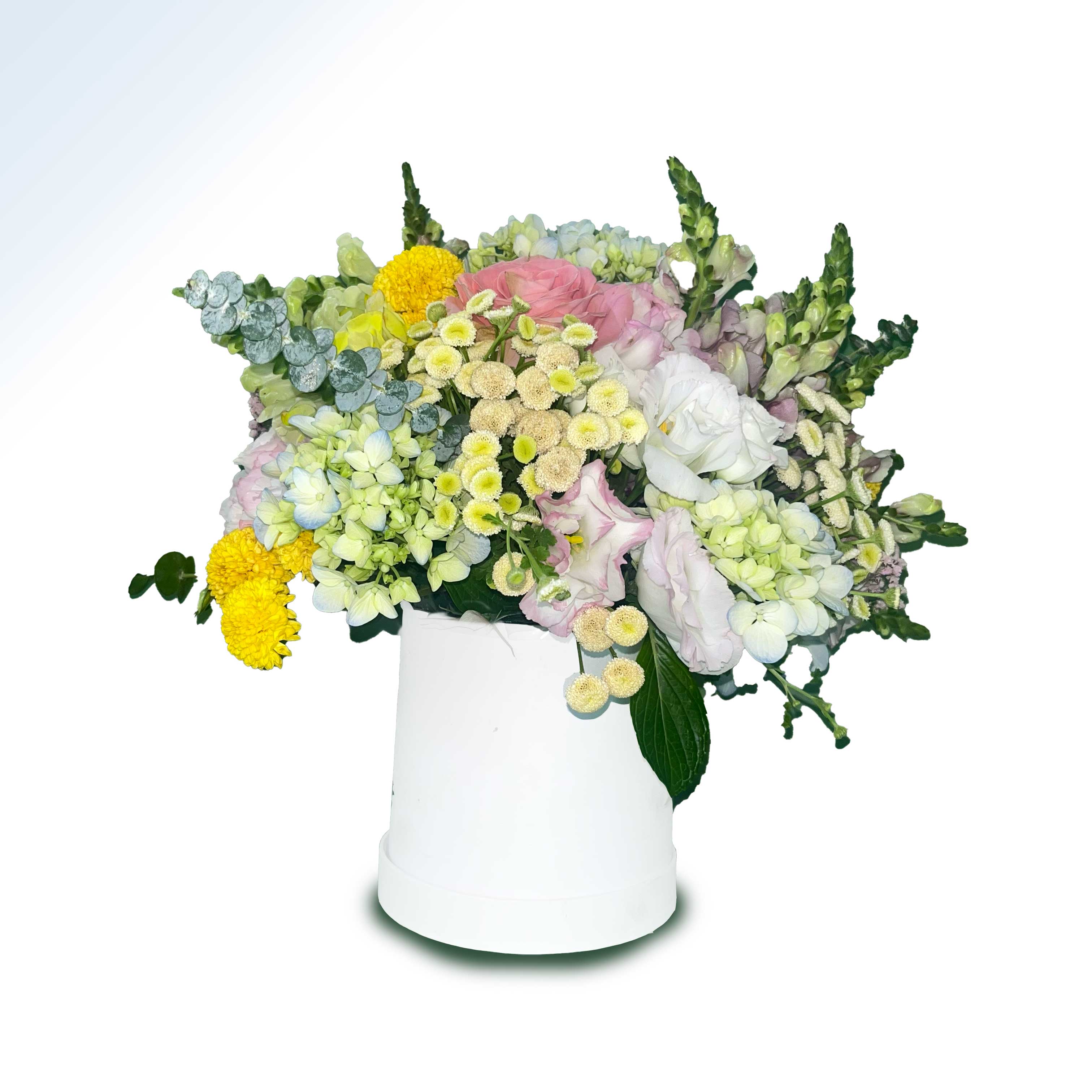 Luz de primavera netyflor