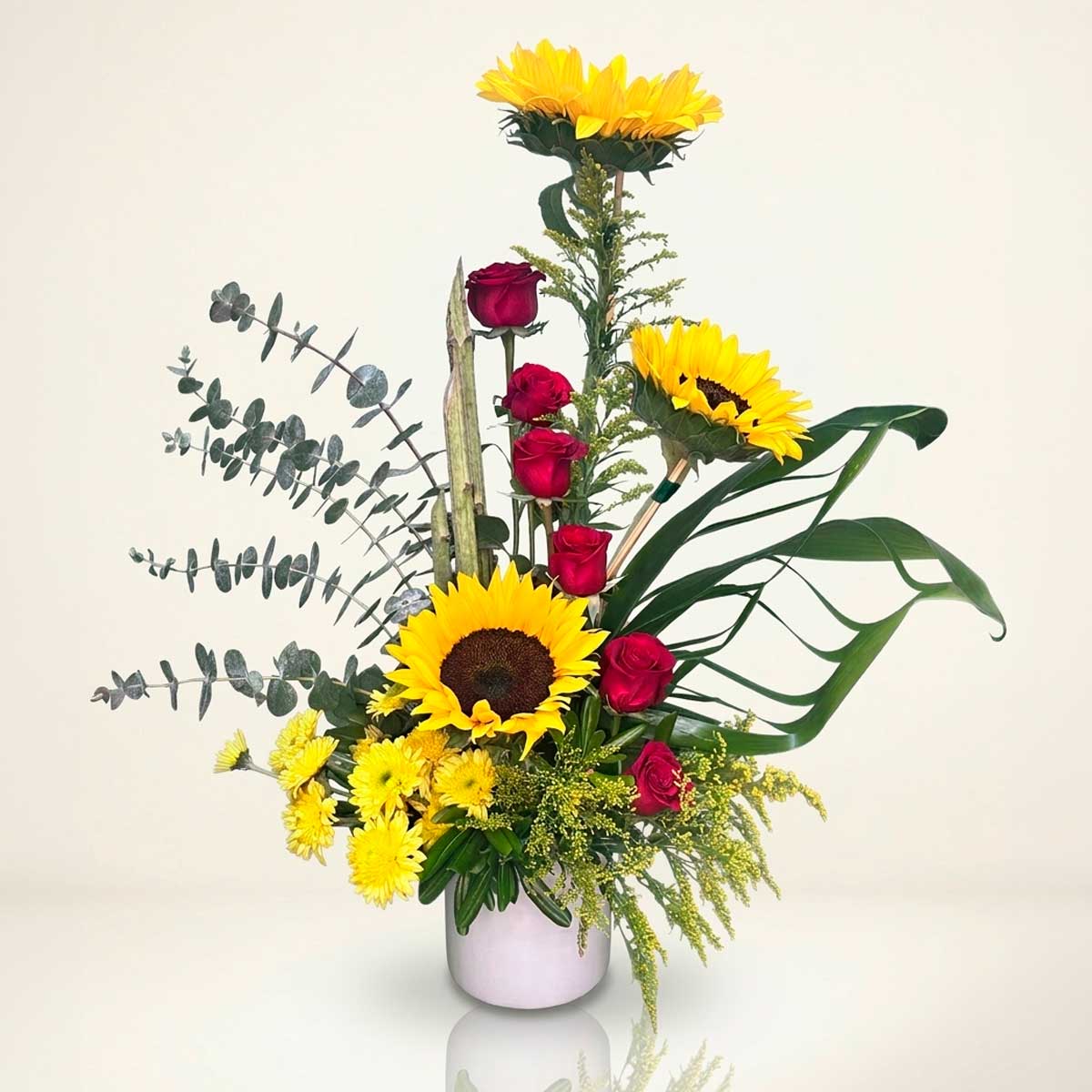 Sol y Pasión - Netyflor